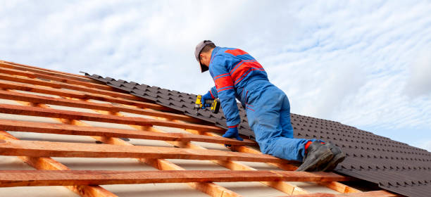 Best Skylight Installation and Repair  in Nellis Af, NV