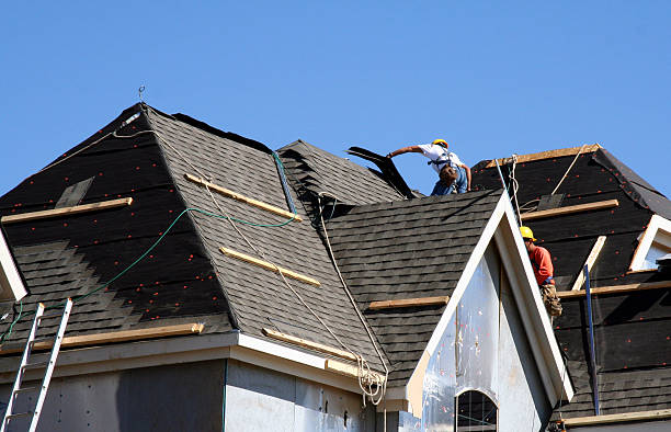 Best Roof Maintenance and Cleaning  in Nellis Af, NV