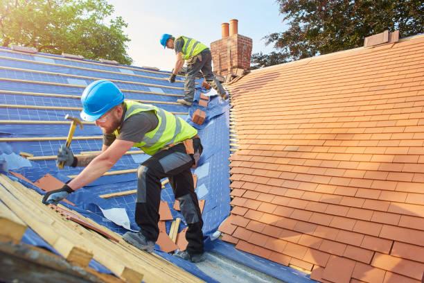 Best Sheet Metal Roofing  in Nellis Af, NV